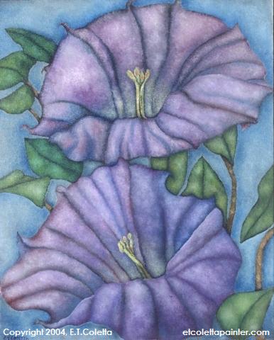 Nightshade
