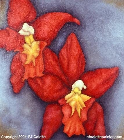 Orchids